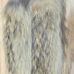 Barred Red Fox
